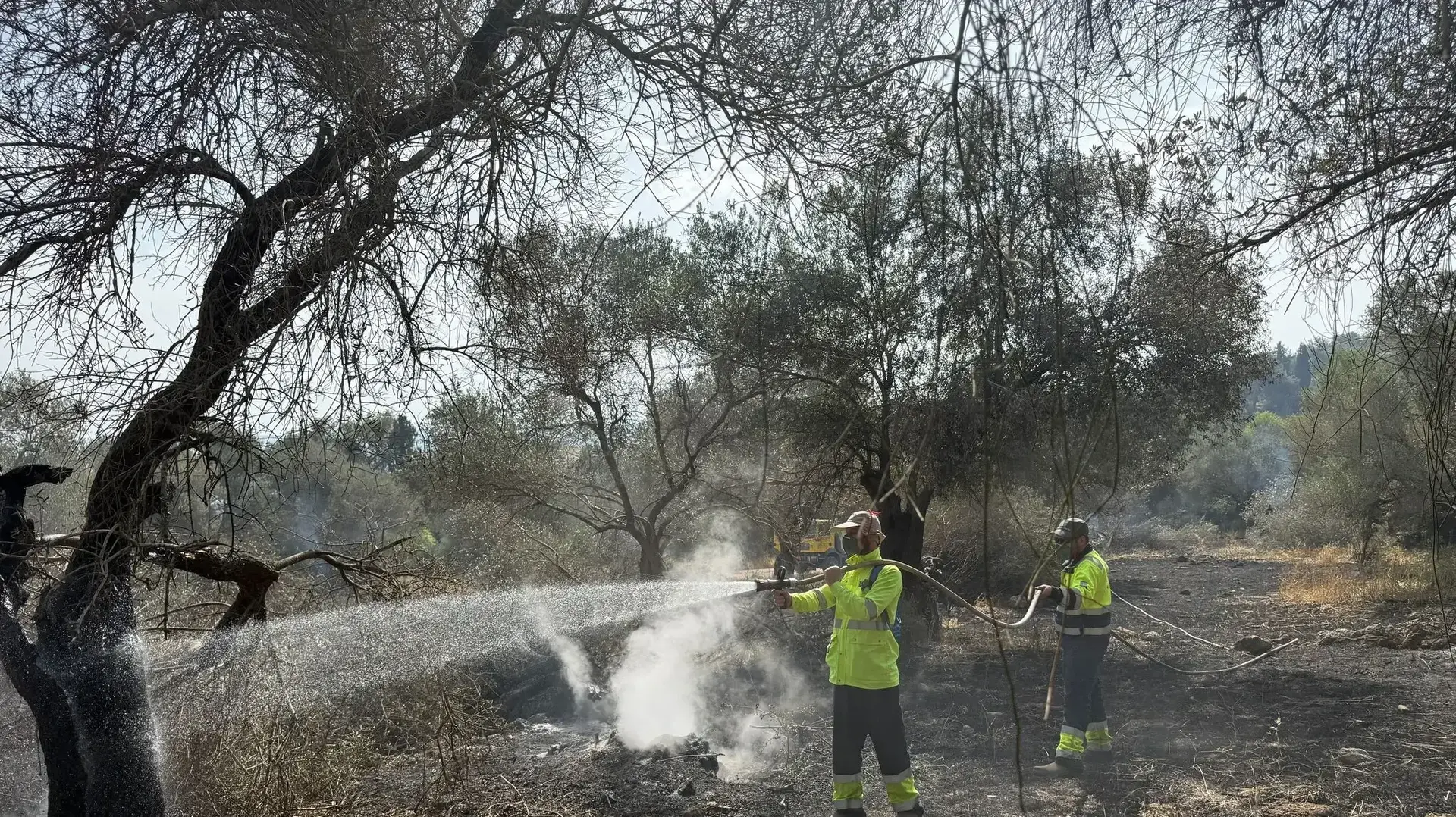 כיבוי השריפות
