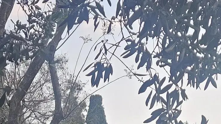 שברי יירוט בגג גן ילדים במשמר העמק. 2 במאי 2025. שברי יירוט בגג גן ילדים במשמר העמק. 2 במאי 2025.