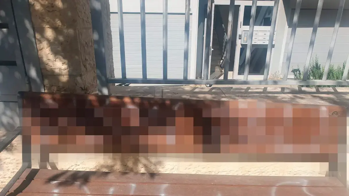 חשד: אם לילדה בבית-ספר בירושלים תקפה חברה לכיתה של בתה חשד: אם לילדה בבית-ספר בירושלים תקפה חברה לכיתה של בתה