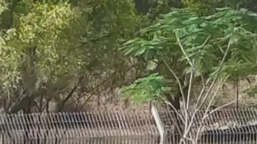מעצר חשוד בקיבוץ שער הגולן 