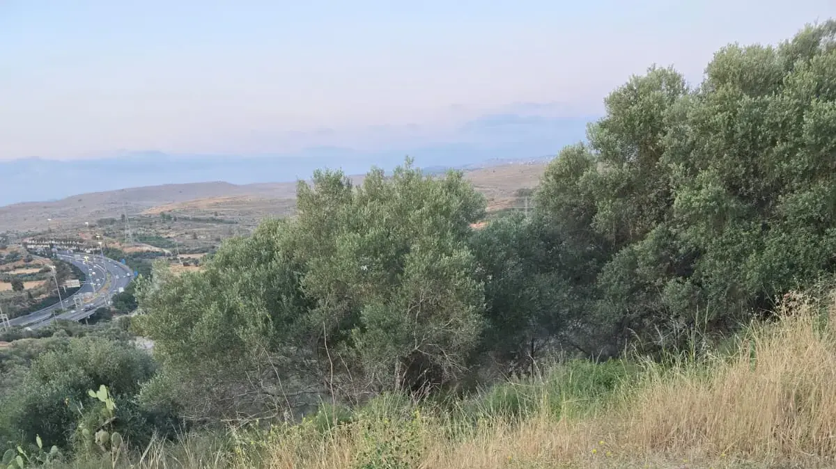 פינת הנצחה לזכרו של רס״ן טל פשבילסקי פינת הנצחה לזכרו של רס״ן טל פשבילסקי
