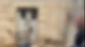 סרטוני התעללות בחיות שרצים באינטרנט סרטוני התעללות בחיות שרצים באינטרנט