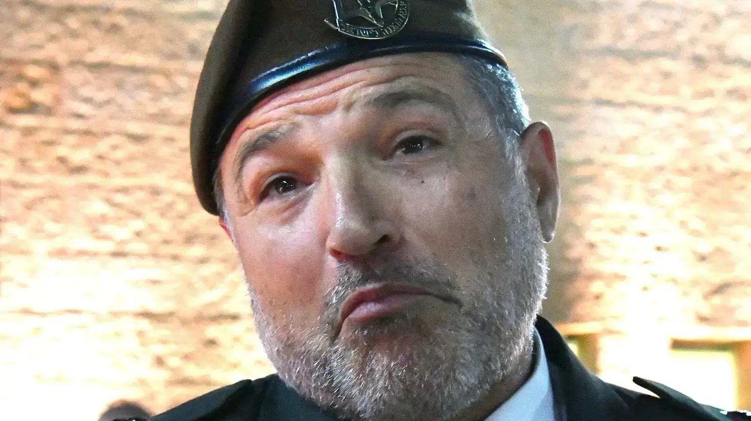 דוד זיני
