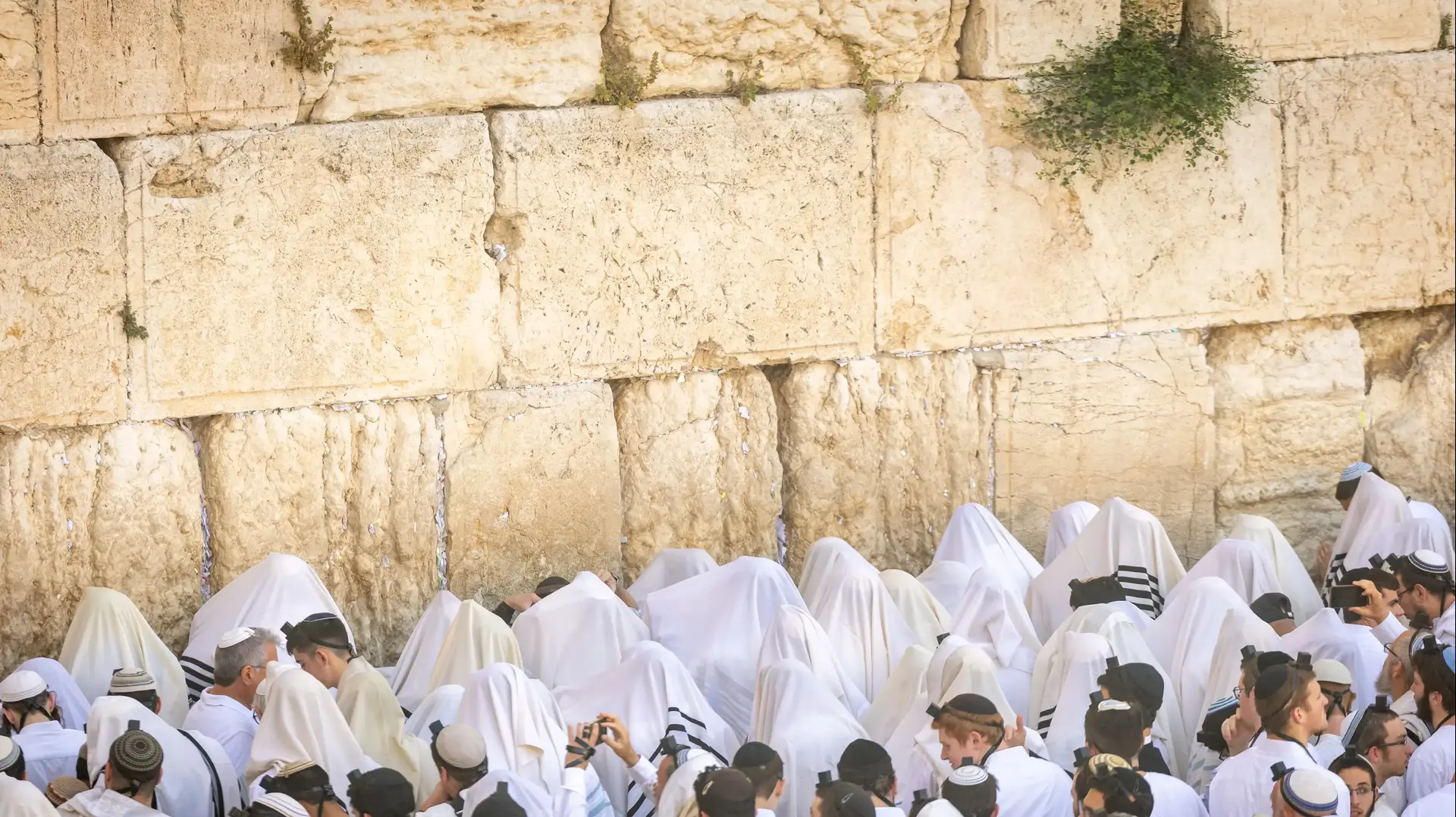 מתפללים בתפילת שחרית, הכותל המערבי, יום ירושלים ה-58, 26 במאי 2025 מתפללים בתפילת שחרית, הכותל המערבי, יום ירושלים ה-58, 26 במאי 2025