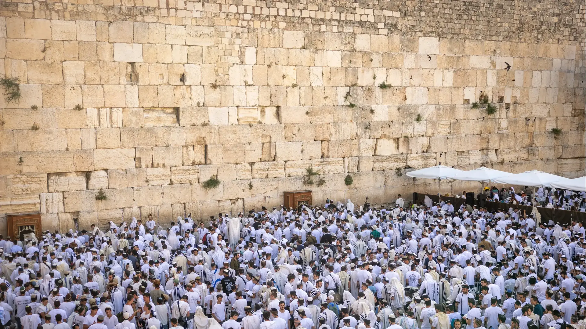 מתפללים בתפילת שחרית, הכותל המערבי, יום ירושלים ה-58, 26 במאי 2025 מתפללים בתפילת שחרית, הכותל המערבי, יום ירושלים ה-58, 26 במאי 2025