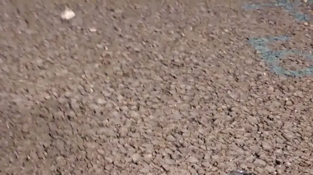 פשיעה בנתניה פשיעה בנתניה