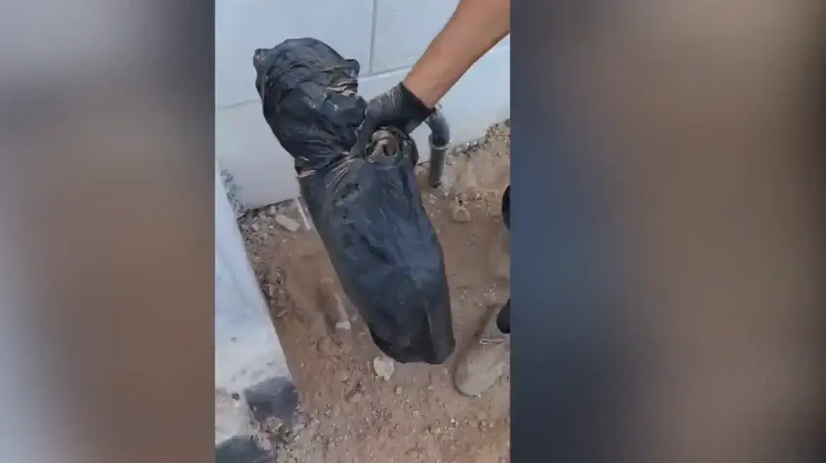 כותרת: הסולחה הופרה: יריות לעבר מנהל בית ספר, המשטרה פתחה במבצע רחב היקף