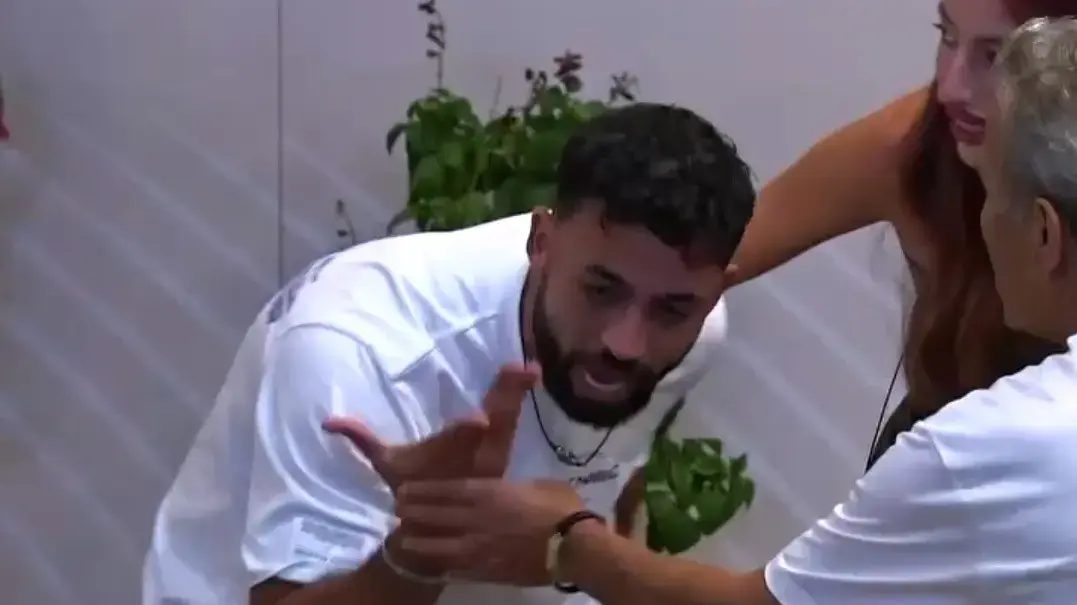 האח הגדול האח הגדול