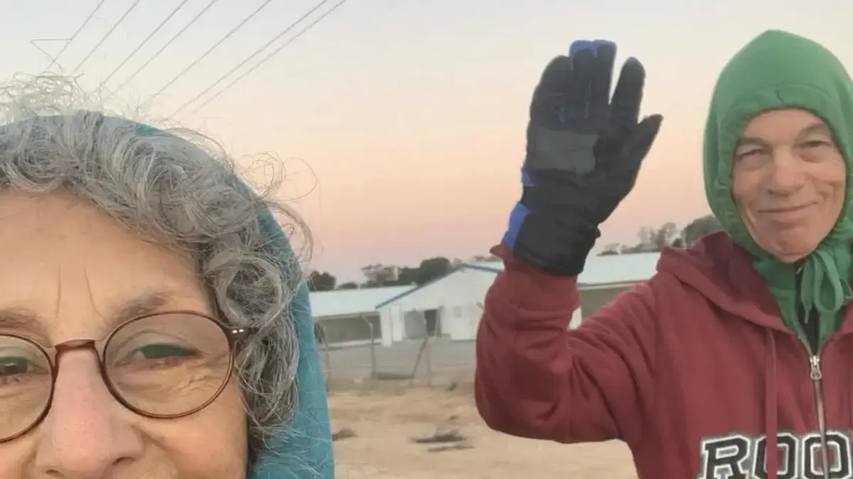 ג'ודי וינשטיין חגי ג'ודי וינשטיין חגי