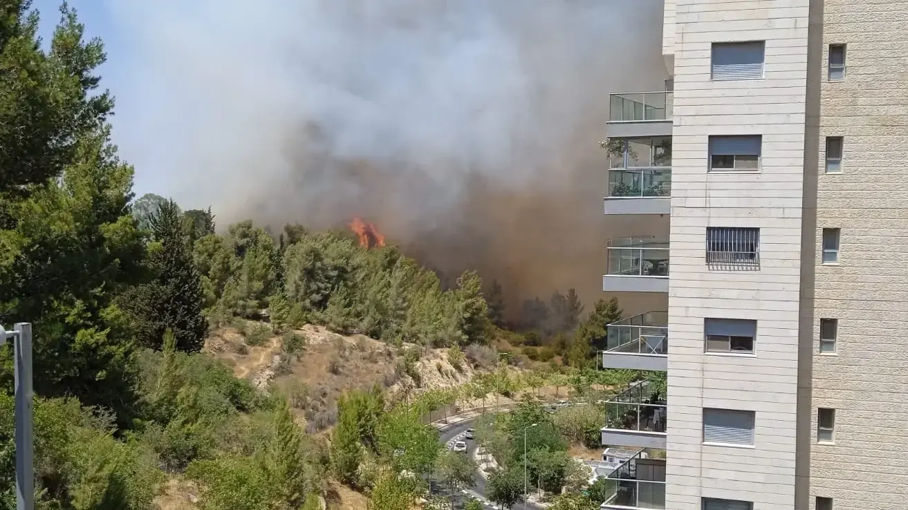 שריפת חורש , יער כרמית, סמוך לשכונת קריית היובל בירושלים