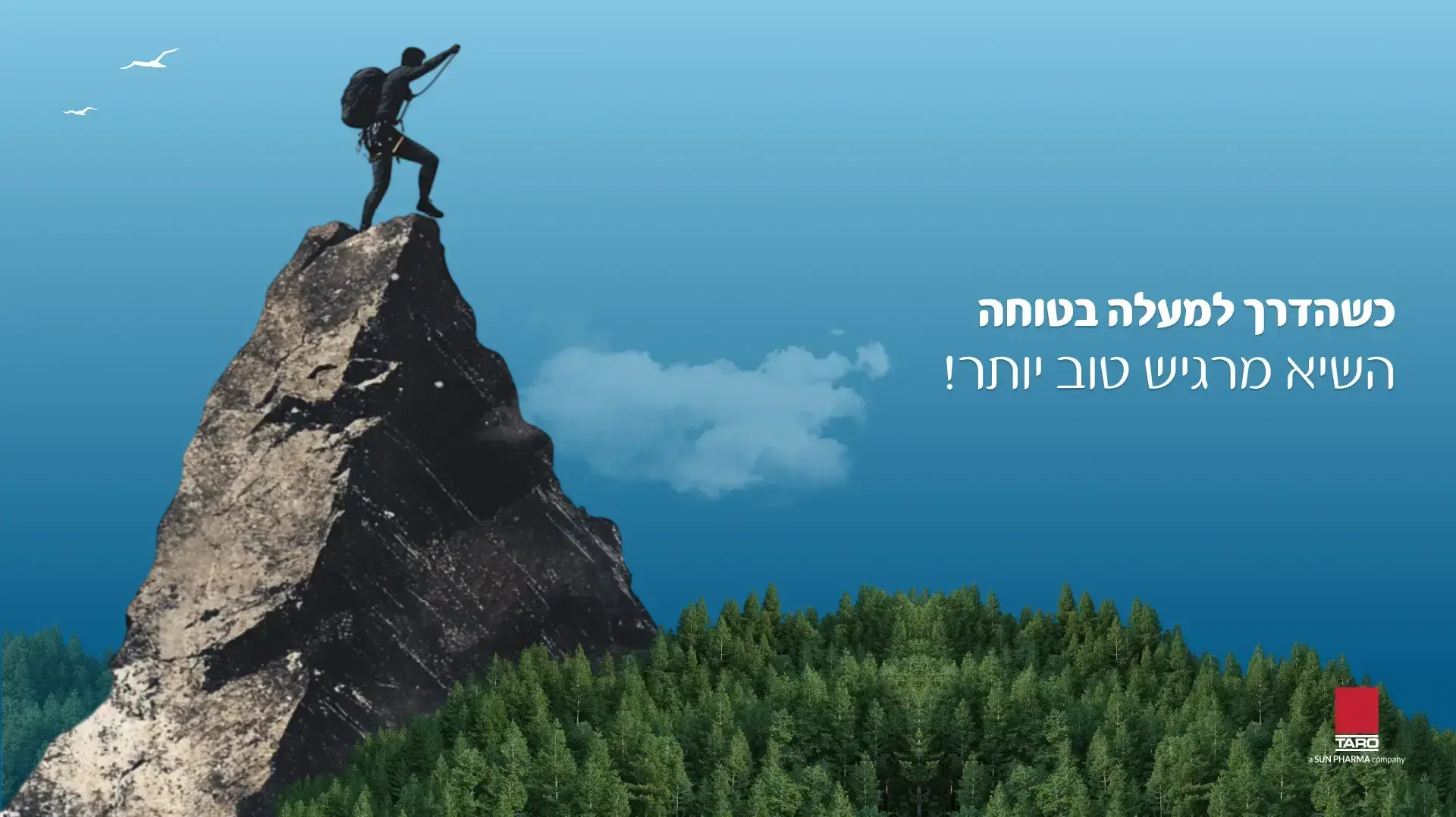 מה אומרת הפרעה בתפקוד המיני? מה אומרת הפרעה בתפקוד המיני?