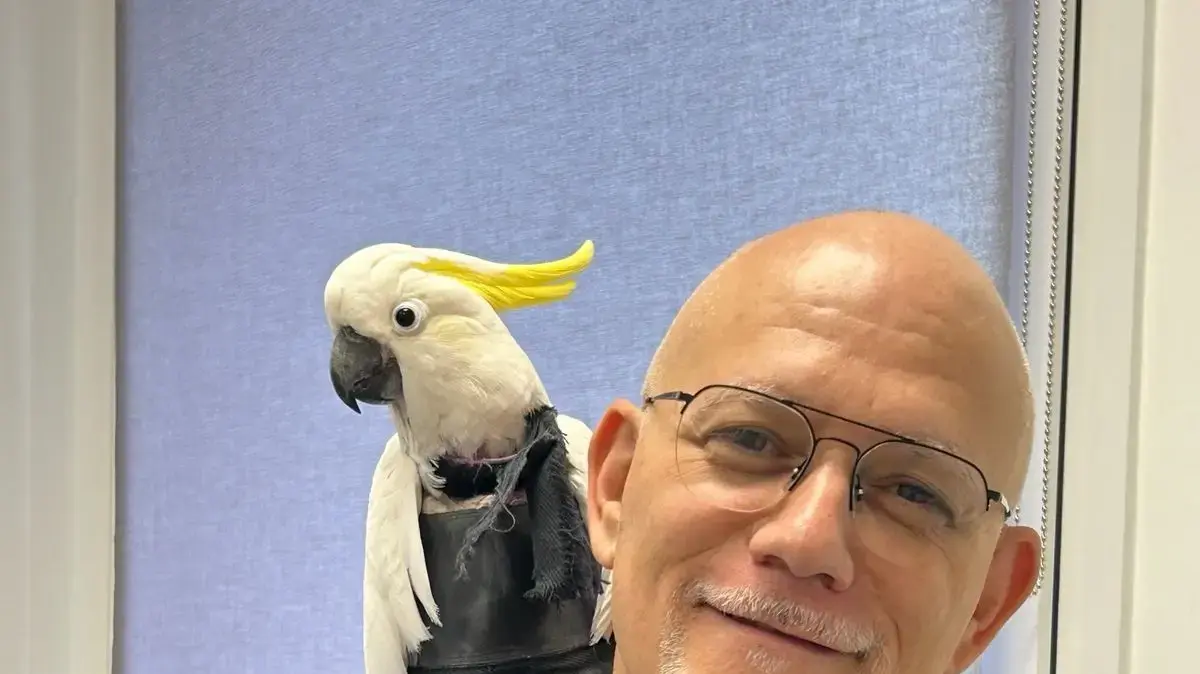 ד"ר סטפן בלואר ד"ר סטפן בלואר