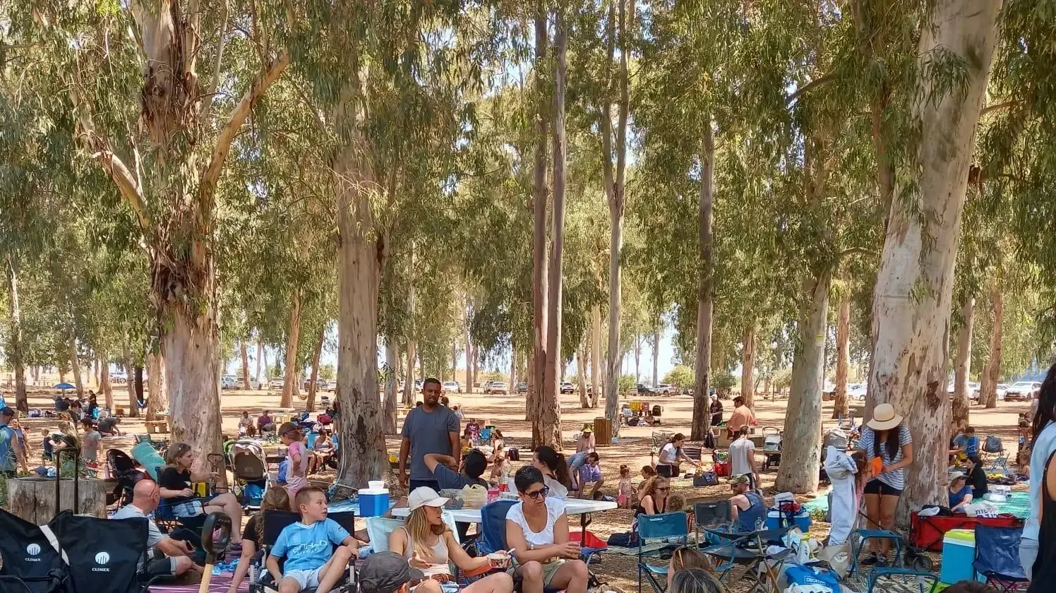 מבקרים בגן הלאומי תל אפק. 28.06.2025
