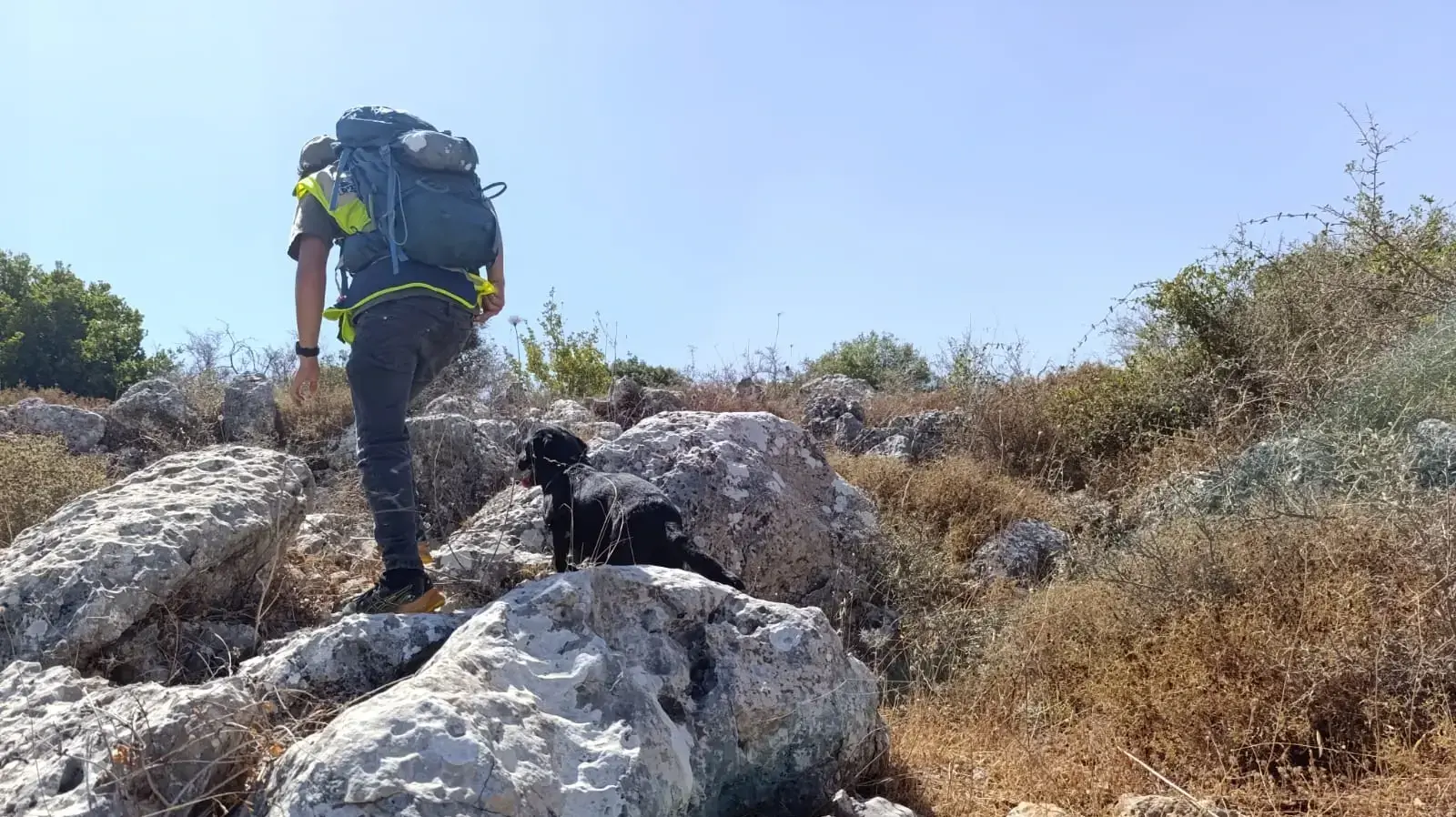קרוב ל-500 ימים חלפו מאז היעלמותה של היימנוט קסאו: כלבני יכ"ל פעלו בחיפושים בתא שטח בלב הארץ. 1 ביולי 2025 קרוב ל-500 ימים חלפו מאז היעלמותה של היימנוט קסאו: כלבני יכ"ל פעלו בחיפושים בתא שטח בלב הארץ. 1 ביולי 2025