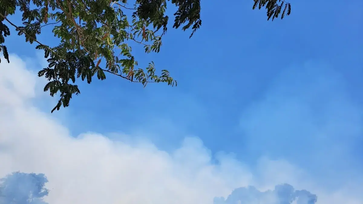 שריפה בשטח פתוח בסמוך לקיבוץ מסילות, 8 ביולי 2025 שריפה בשטח פתוח בסמוך לקיבוץ מסילות, 8 ביולי 2025