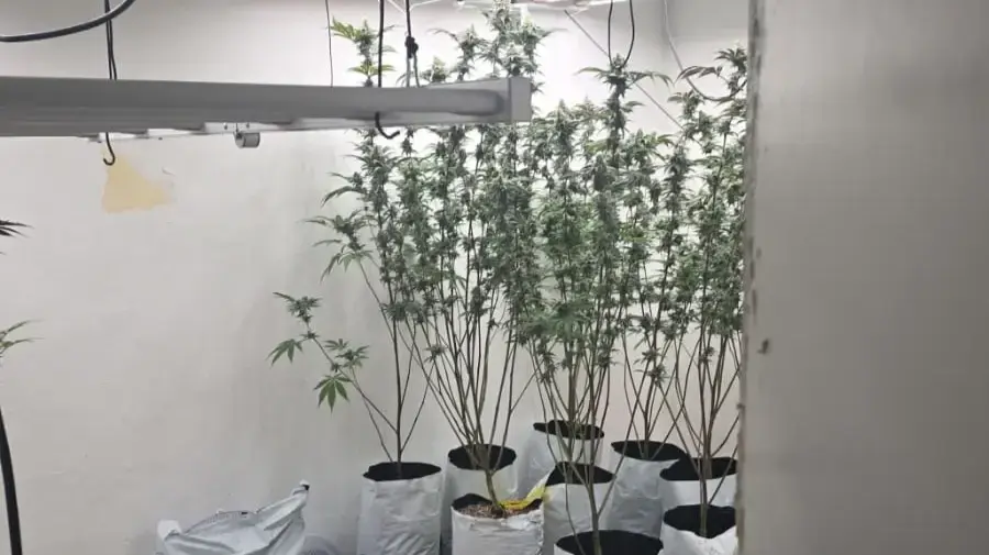 נסחט באיומים על ידי זוגתו לשעבר והתלונן ובדירת החשודים התגלתה מעבדת סמים, מעלות-תרשיחא נסחט באיומים על ידי זוגתו לשעבר והתלונן ובדירת החשודים התגלתה מעבדת סמים, מעלות-תרשיחא