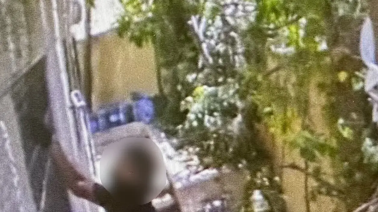 תיעוד השוד האלים בירושלים, 15 ביולי 2025 תיעוד השוד האלים בירושלים, 15 ביולי 2025