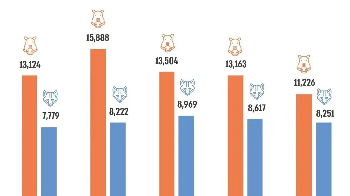מספר חזירי הבר והתנים שדוללו באמצעות ירי ברחבי הארץ על ידי ציידים ועל ידי פקחי רט"ג, 2020 - 2024 מספר חזירי הבר והתנים שדוללו באמצעות ירי ברחבי הארץ על ידי ציידים ועל ידי פקחי רט"ג, 2020 - 2024