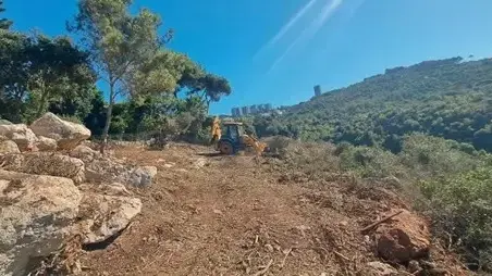 הכשרת אזורי החיץ בשכונת דניה, חיפה הכשרת אזורי החיץ בשכונת דניה, חיפה