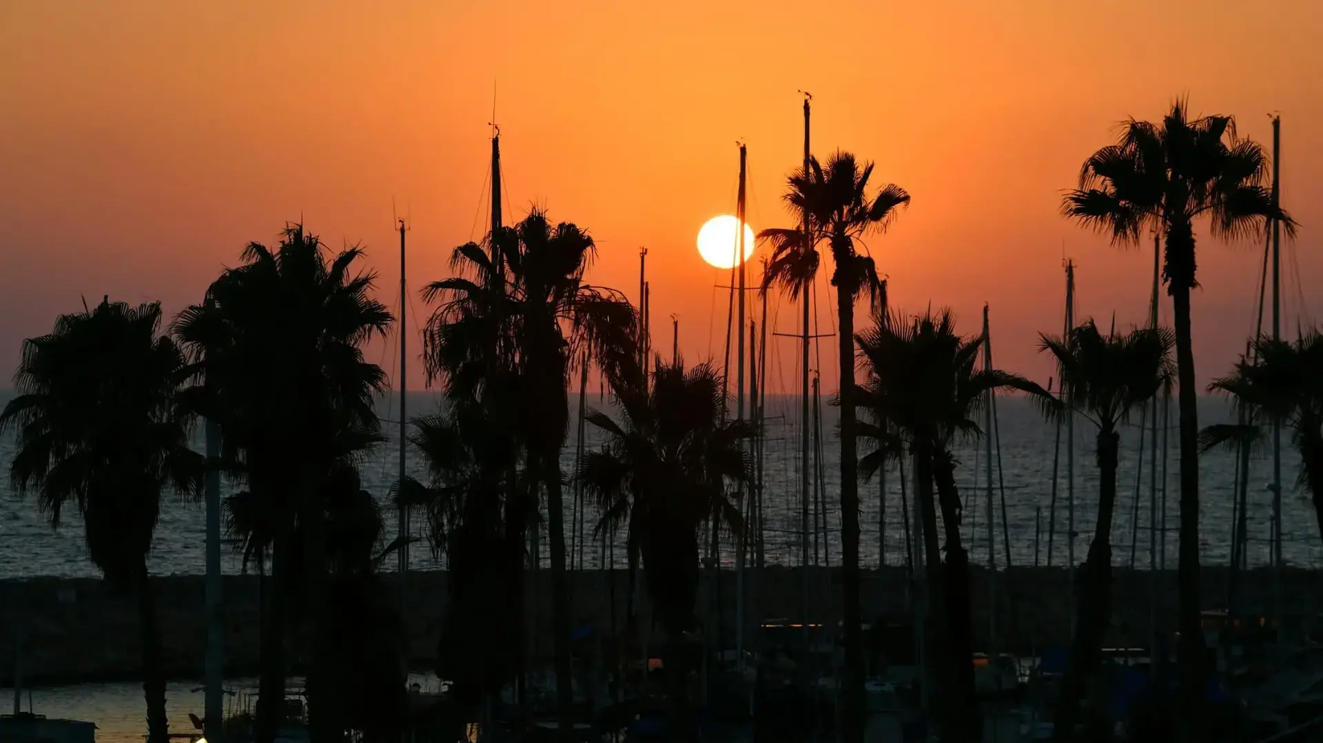 מזג אוויר מרינה תל אביב   שרב חמסין   עומס חום