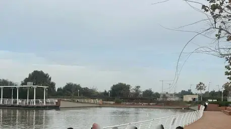 מעגלי שיח בצה"ל, מערך בריאות הנפש. מעגלי שיח בצה"ל, מערך בריאות הנפש.