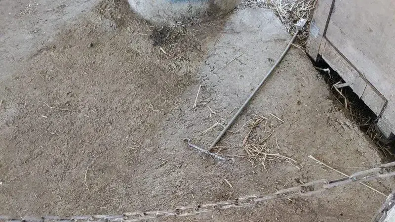 הסכין של המחבל. סוכל ניסיון פיגוע בחוות יהודה. 25.7.2025 הסכין של המחבל. סוכל ניסיון פיגוע בחוות יהודה. 25.7.2025