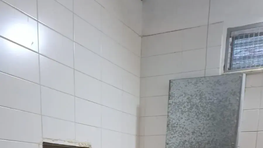 גור אריה נמצא בכפר אבו דיס גור אריה נמצא בכפר אבו דיס