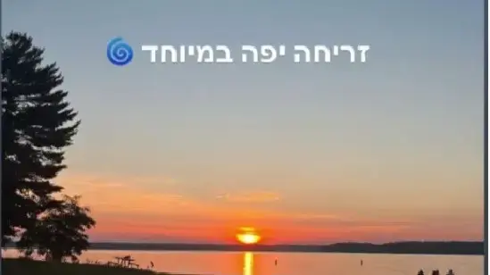 אלון אבוטבול סטורי אלון אבוטבול סטורי