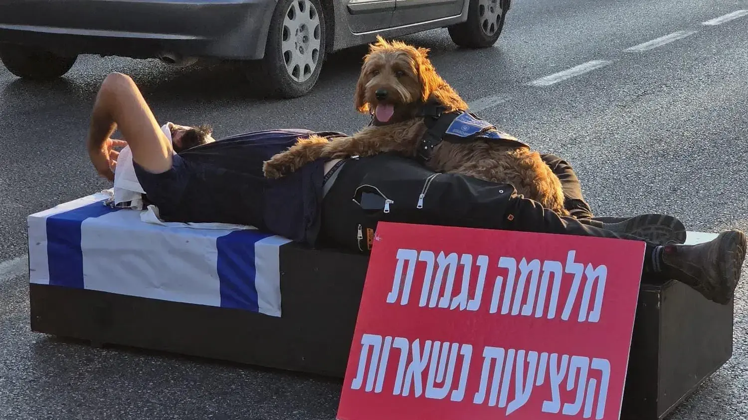מאיר קדוש, הלום קרב