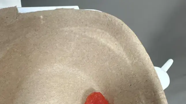 חתיכת האבטיח שנתקעה