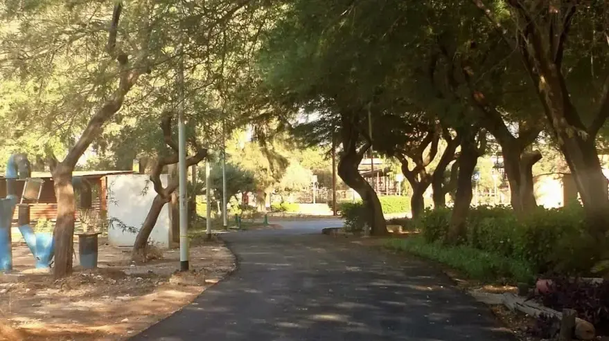 תושבי כרם שלום מתאחדים וחוזרים הביתה לקבלת פנים מיוחד שארגן היישוב צוחר, כרם שלום