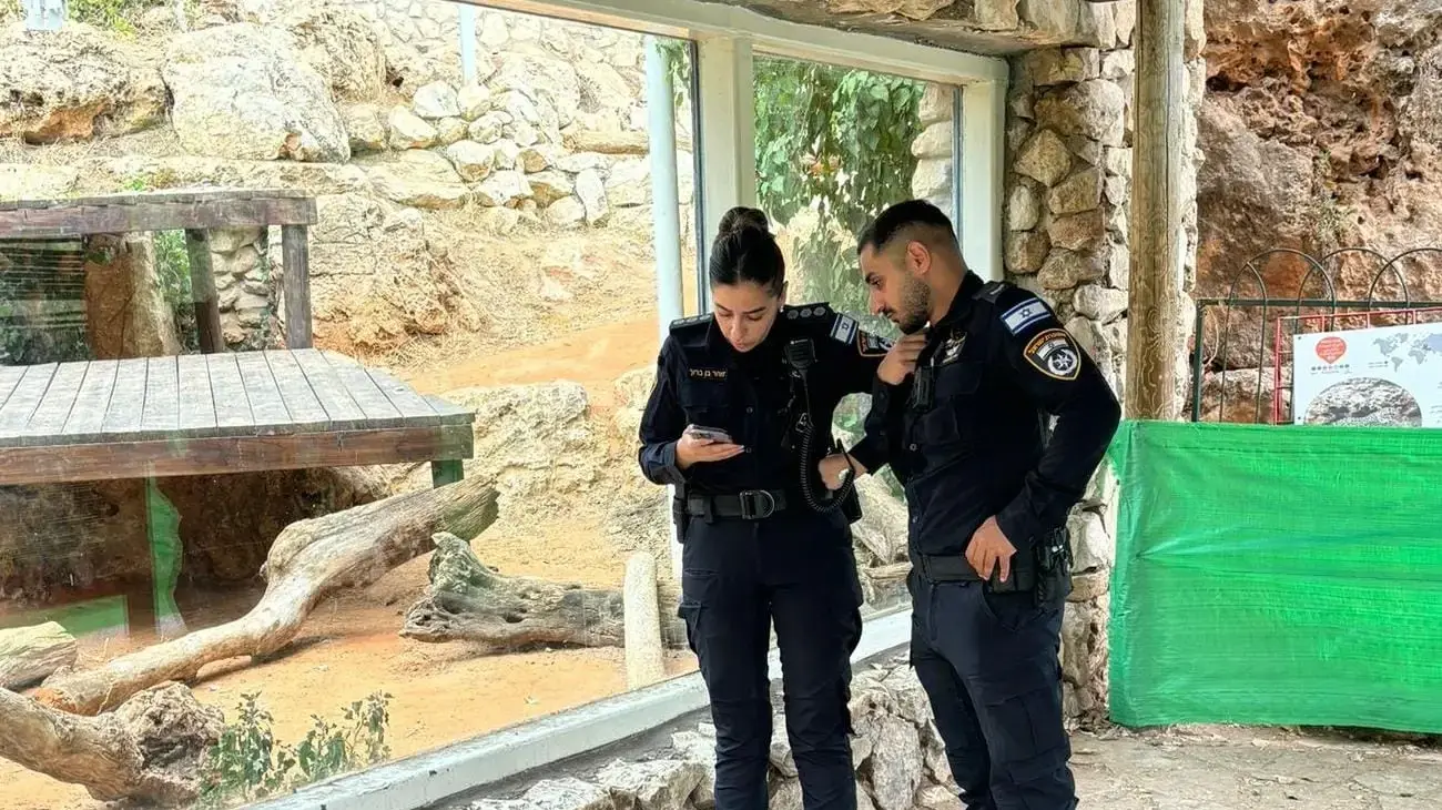 זירת נשיכת הנמר בגן החיות התנ"כי בירושלים
1 באוגוסט 2025 זירת נשיכת הנמר בגן החיות התנ"כי בירושלים
1 באוגוסט 2025