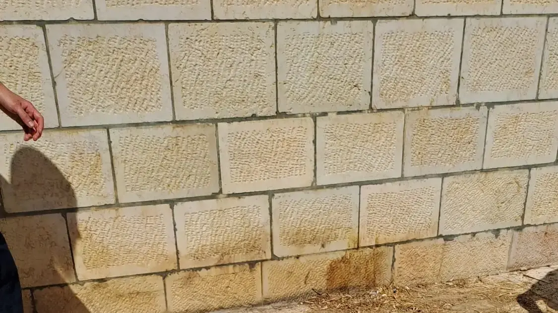 ח"כ אושר שקלים מהליכוד משתחווה בהר הבית ח"כ אושר שקלים מהליכוד משתחווה בהר הבית