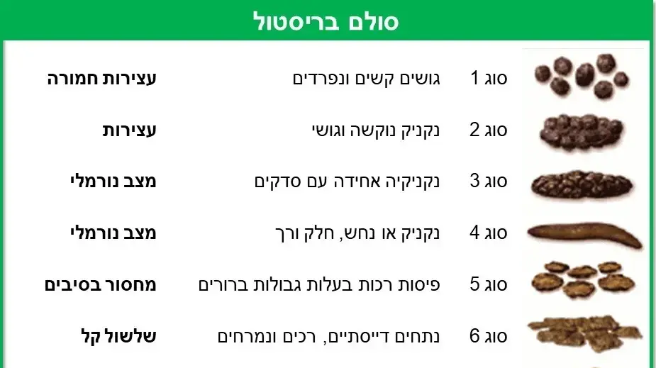 סולם בריסטול (באנגלית: Bristol stool scale) הוא כלי עזר רפואי שנועד לשייך את צורתה של צואה אנושית לאחד משבעה סוגי צואה סולם בריסטול (באנגלית: Bristol stool scale) הוא כלי עזר רפואי שנועד לשייך את צורתה של צואה אנושית לאחד משבעה סוגי צואה
