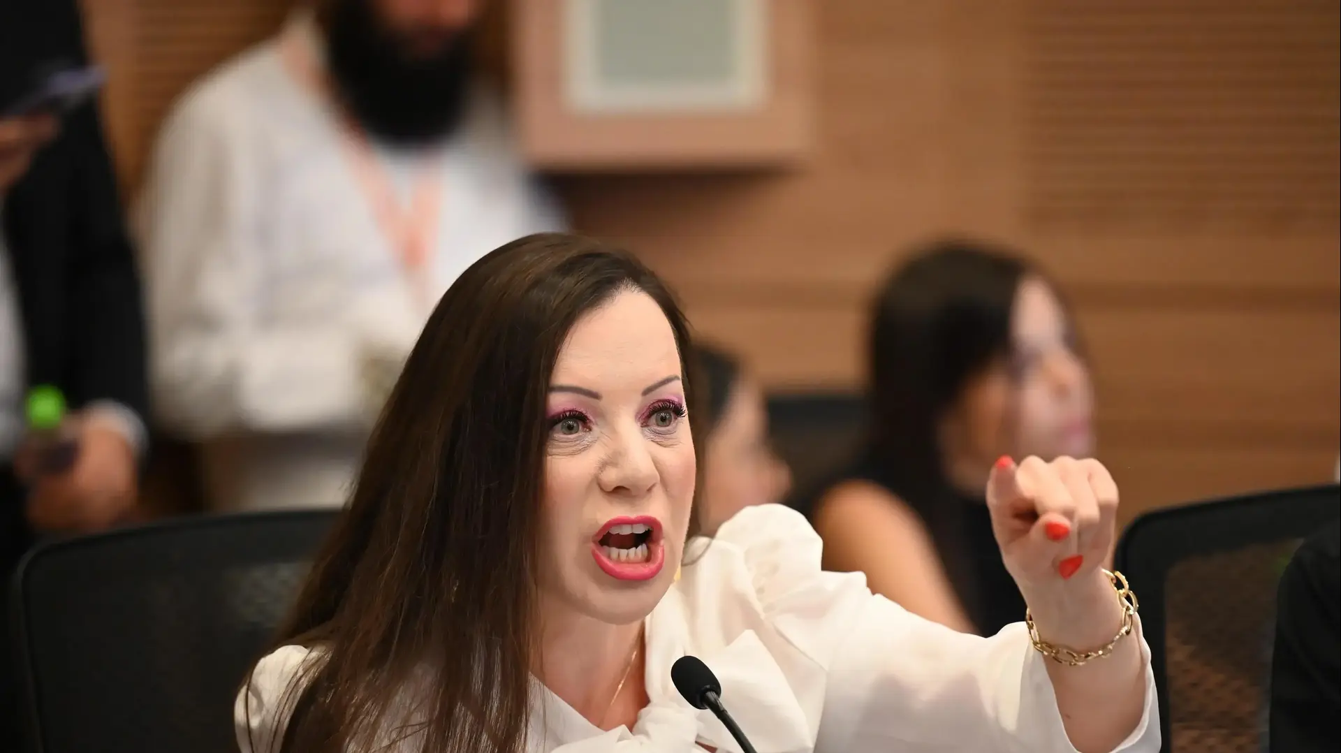 טלי גוטליב בועדת הכנסת, 4 באוגוסט 2025 טלי גוטליב בועדת הכנסת, 4 באוגוסט 2025