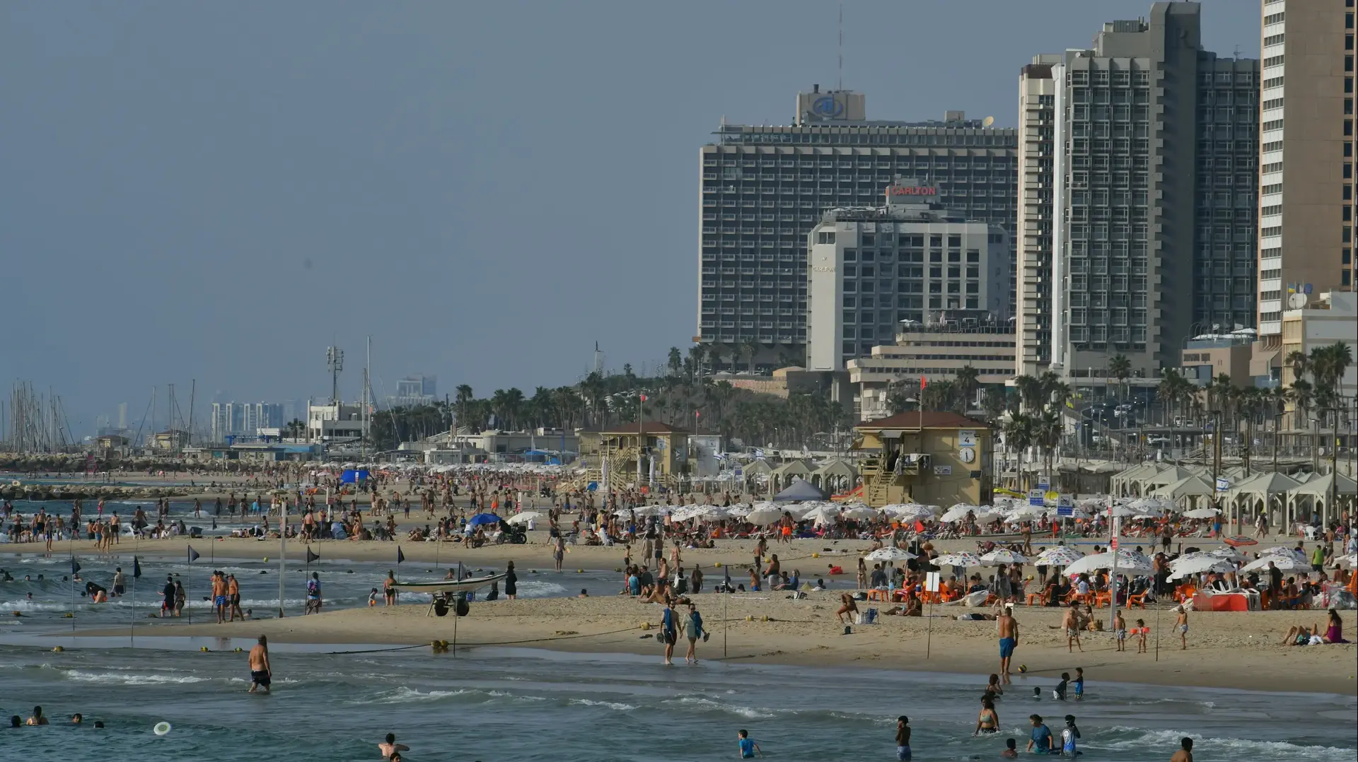 חוף ים חוף ים