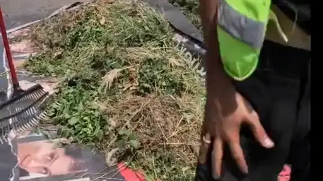 עובדי קבלן בחיפה גורפים עלים על שלט למען החטופים