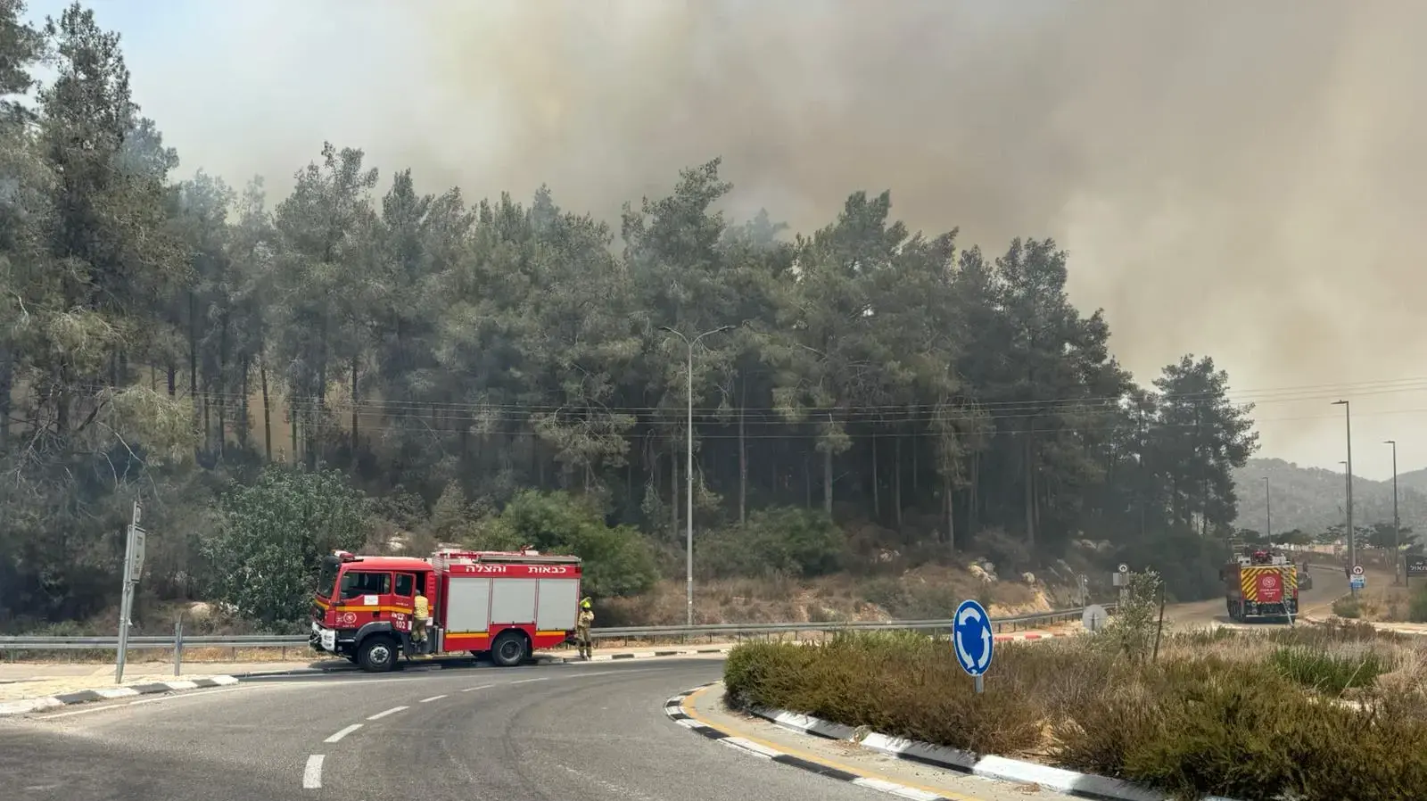 שריפה ביער אשתאול שריפה ביער אשתאול