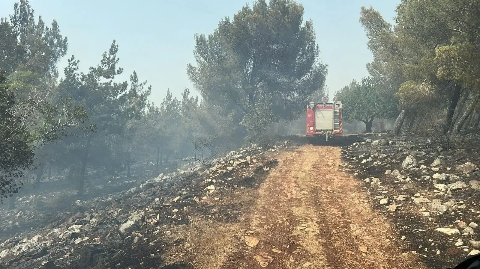 שריפה ביער בית קשת, 12 באוגוסט 2025 שריפה ביער בית קשת, 12 באוגוסט 2025