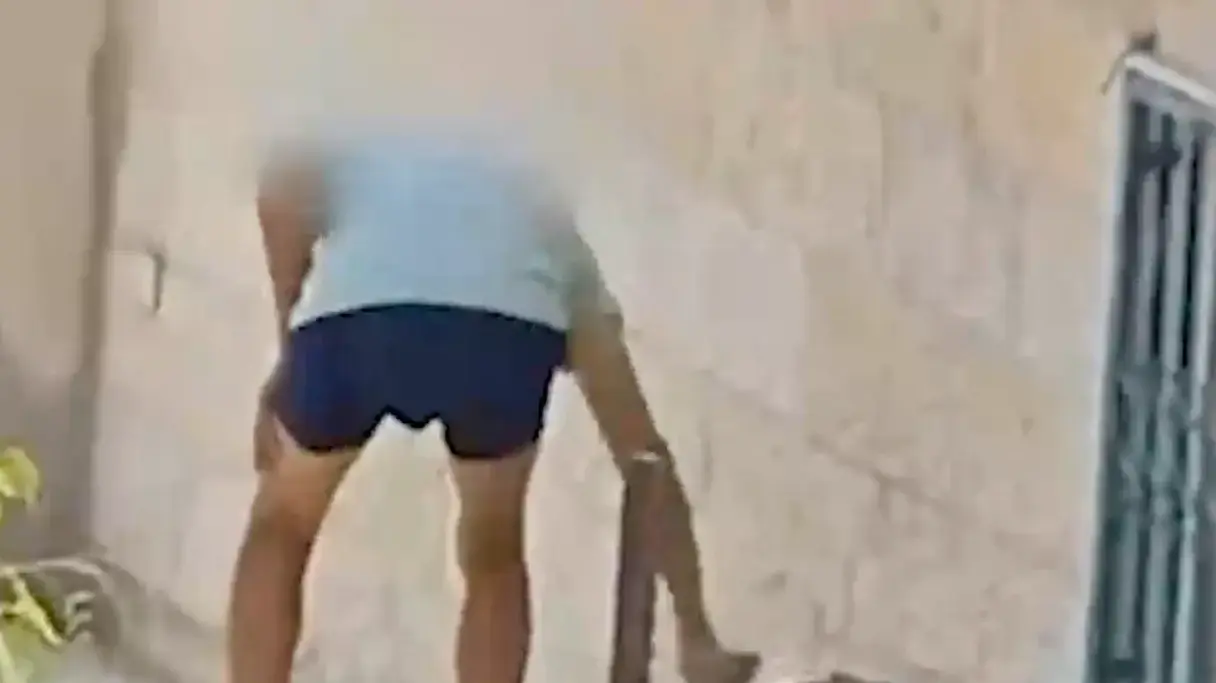 חשוד בהתעללות בכלב במבשרת ציון נעצר על ידי המשטרה, 12 באוגוסט 2025