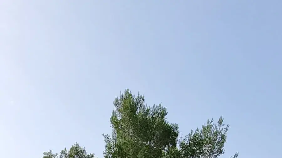שיפוץ אמפי קיבוץ גברעם שיפוץ אמפי קיבוץ גברעם