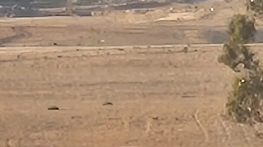 ירי במושב נבטים