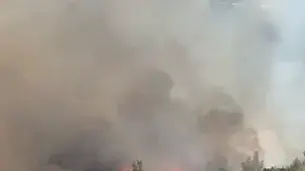 שריפה בעמק הארזים, ירושלים, 24 באוגוסט 2025