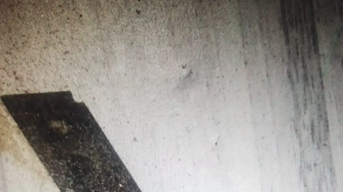 תמונת הסכין שנתפסה מהחשוד שתקף זוג מתרחצים בחוף הגולשים בעיר תל אביב תמונת הסכין שנתפסה מהחשוד שתקף זוג מתרחצים בחוף הגולשים בעיר תל אביב