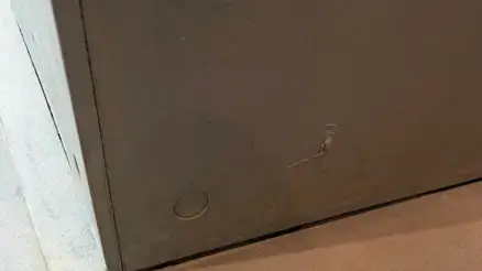 כדור תועה בגינה בעומר כדור תועה בגינה בעומר