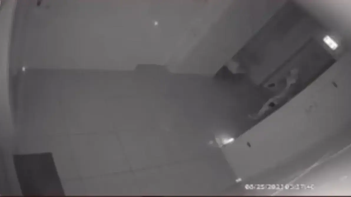 אחד מרעולי הפנים באירוע ההצתה בנתניה, 29.08.25