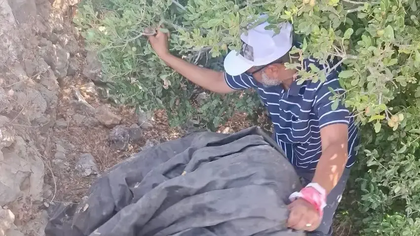 טספאי, אביה של היימנוט קסאו, מחפש אחרי בתו בשטחים