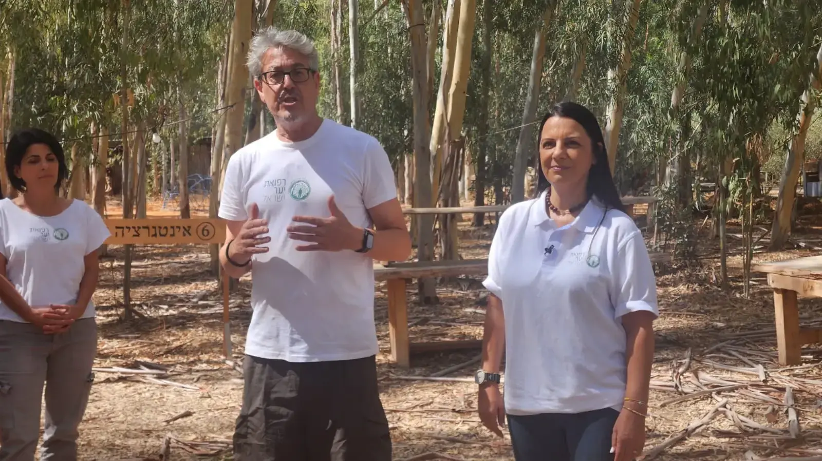 רפואת יער רפואת יער