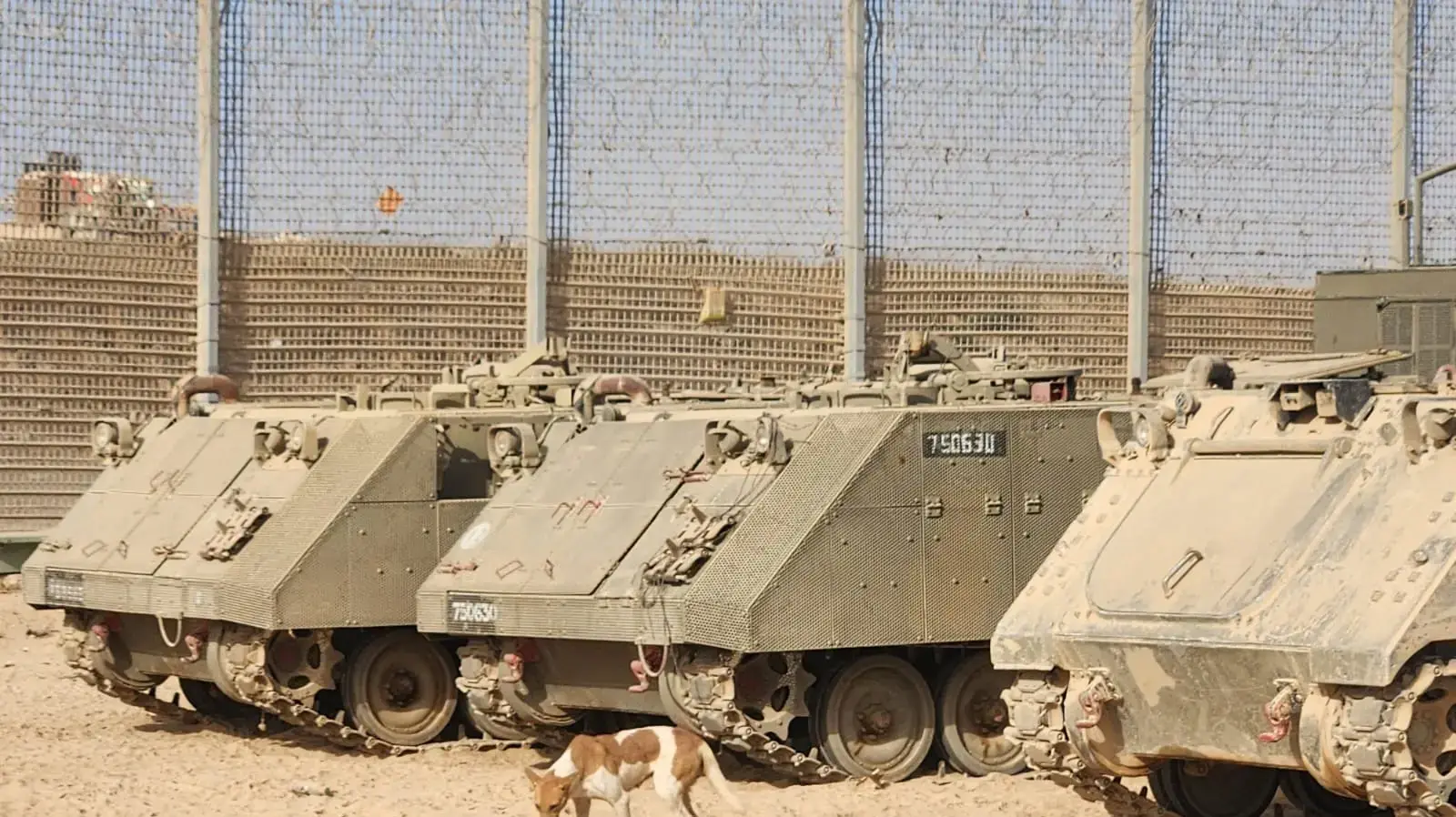 כוחות צה"ל בגבול רצועת עזה כוחות צה"ל בגבול רצועת עזה
