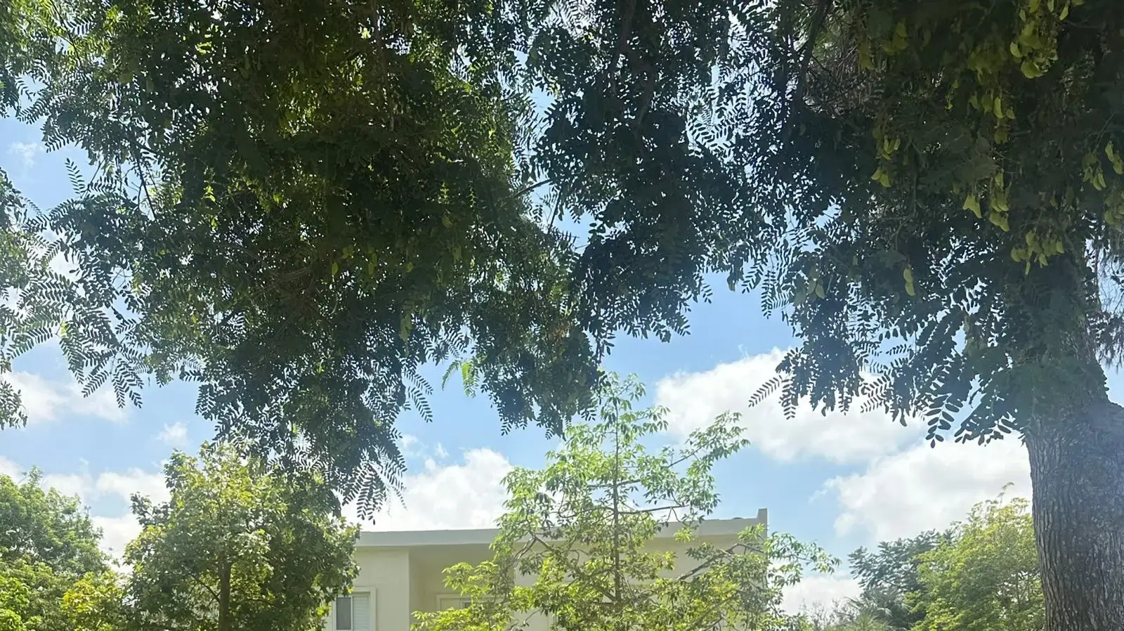 שיקום דיור, קיבוץ כיסופים שיקום דיור, קיבוץ כיסופים